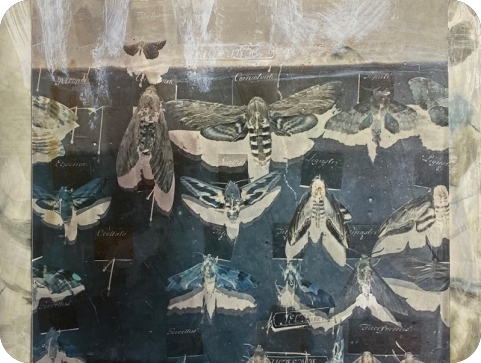 Otvorenje izložbe Zdenka Krtića “Granice od voska” u Gradskoj galeriji Pula-161529