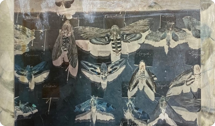 Otvorenje izložbe Zdenka Krtića “Granice od voska” u Gradskoj galeriji Pula-161529