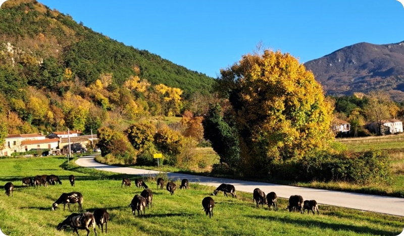 U Brestu pod Učkom prvi istarski međunarodni dan lovstva-156374