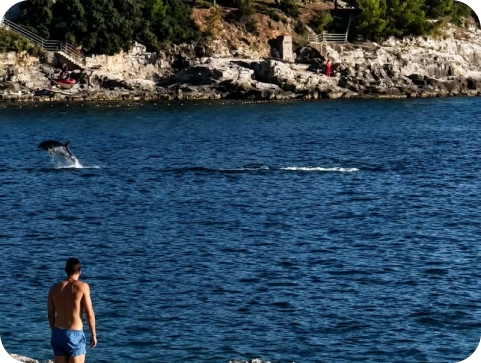 Tune oduševile kupače na Zlatnim stijenama (VIDEO)-162573