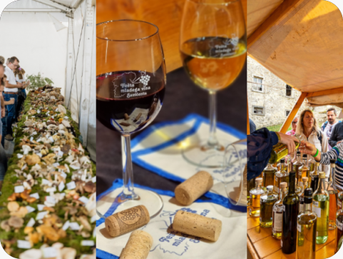 Vikend u Istri u znaku gljiva, domaćih rakija, mladog vina i izložbi-156024
