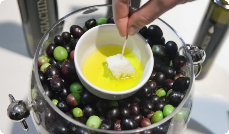 Program ruralnog razvoja Republike Hrvatske-63172