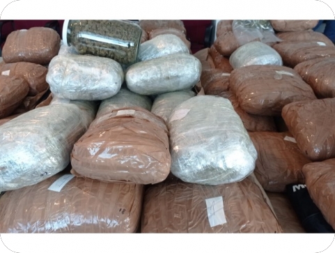 Zagrebačka policija zaplijenila više od 100 kilograma različitih vrsta droge-124816