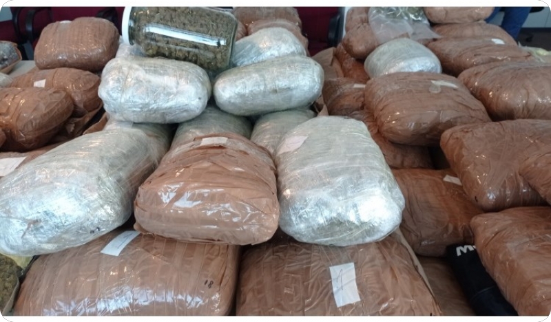 Zagrebačka policija zaplijenila više od 100 kilograma različitih vrsta droge-124816