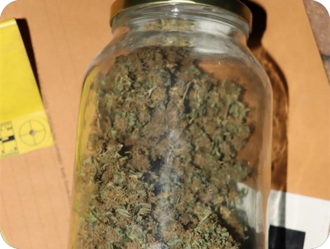 Policija upala u stan 32-godišnjaka u Puli i pronašla više od dva kilograma marihuane-164258