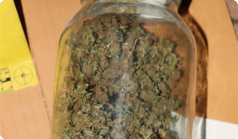 Policija upala u stan 32-godišnjaka u Puli i pronašla više od dva kilograma marihuane-164258