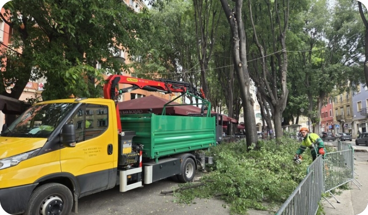 Sutra prosvjed zbog rezanja stabala na Giardinima-160683