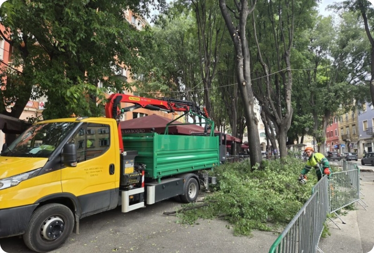 Sutra prosvjed zbog rezanja stabala na Giardinima-160683