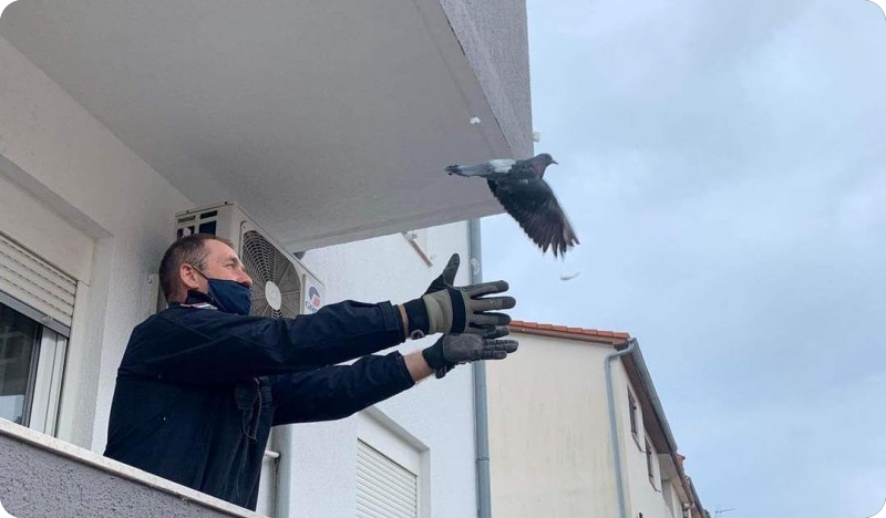 Pulski vatrogasci spašavali dijete i goluba-122040