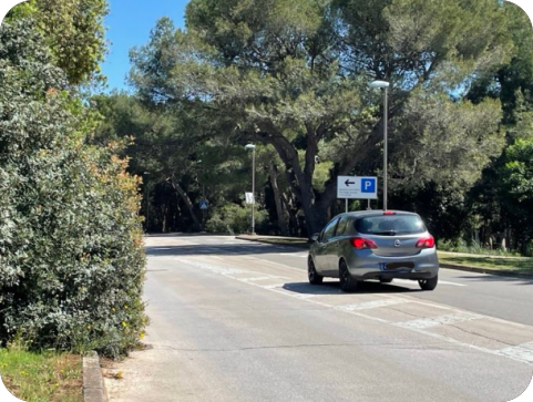 Oprez! Grmlje na cesti za Verudelu ometa promet!-144963