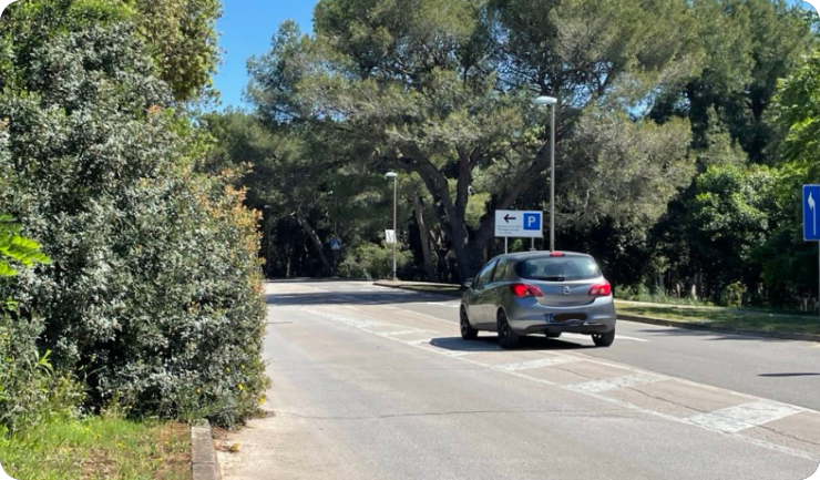 Oprez! Grmlje na cesti za Verudelu ometa promet!-144963