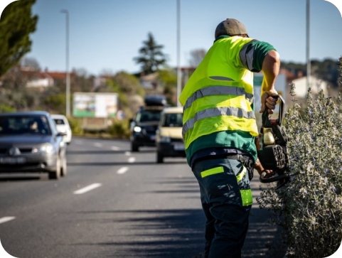 U ponedjeljak orezivanje stabala u dvije pulske ulice, mogući zastoji u prometu-158390