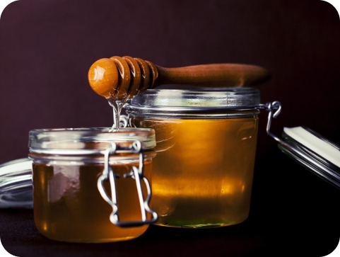 U e-savjetovanju Nacrt prijedloga Programa Školski medni dan s hrvatskih pčelinjaka za 2022. godinu-124418