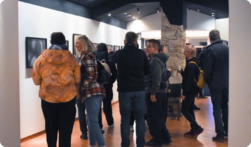 U galeriji Makina otvorena izložba “Alluring” Vanje Brajković-156529