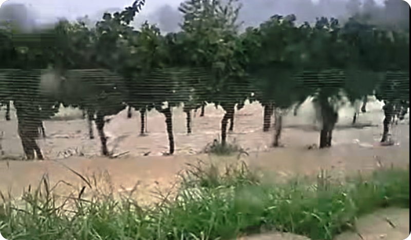 Sjever Istre pogođen poplavama, građani pozvani na prijavu šteta-154895