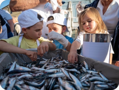 Više od 250 kilograma srdela usoljeno u Fažani-160171