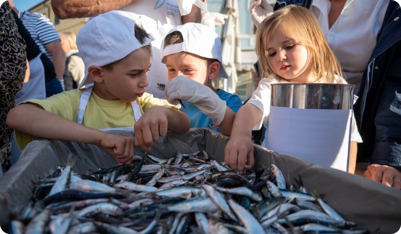Više od 250 kilograma srdela usoljeno u Fažani-160171