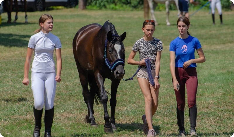 Bogat konjički vikend u Puli i Medulinu-160967