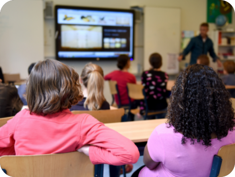 Tko najbolje poznaje Istru? U Novigradu počinje kviz koji to otkriva-156470