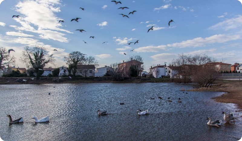 Fotkajte Medulinsku lokvu i tri najbolje fotografije osvajaju novčane nagrade-140886