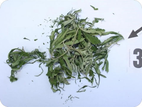 U Tomassinijevoj uhićen mladić zbog sumnje na dilanje droge-154088