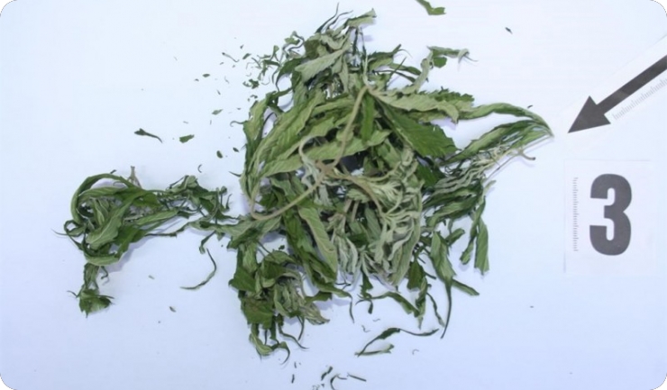 U Tomassinijevoj uhićen mladić zbog sumnje na dilanje droge-154088