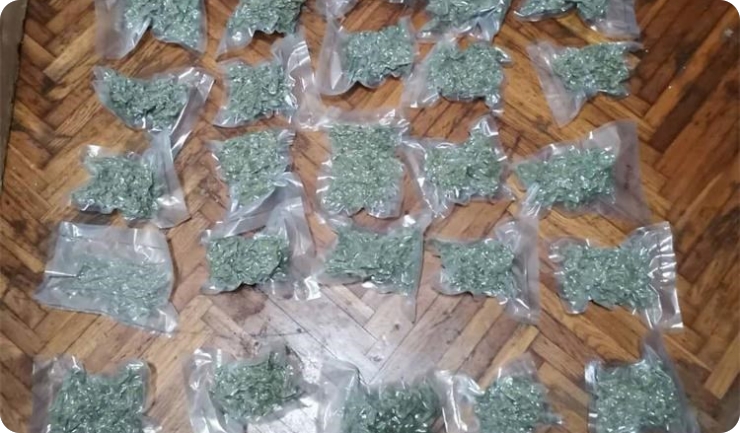 Pulska i pazinska policija zaplijenile drogu-123036