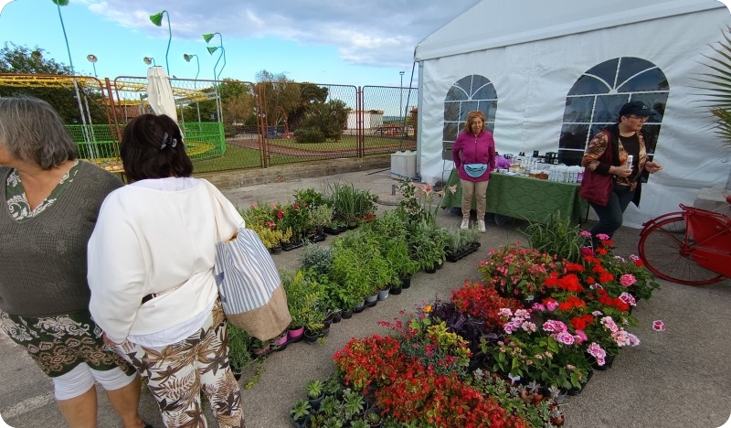 Medulinska Florijada donosi sajam, radionice i zabavu za cijelu obitelj-152521