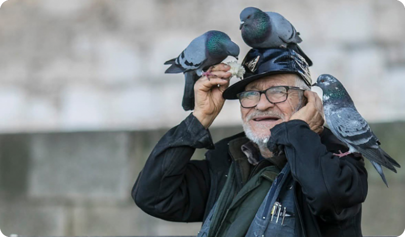 Pula se ne želi samo oprostiti - građani predlažu klupu, mural ili nešto treće u spomen na Muju-159588