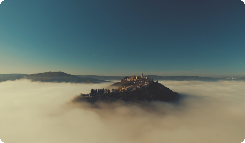 Bujski buvljak, Festival šuma i šumskih plodova, Mreža motovunskih susreta…-140617