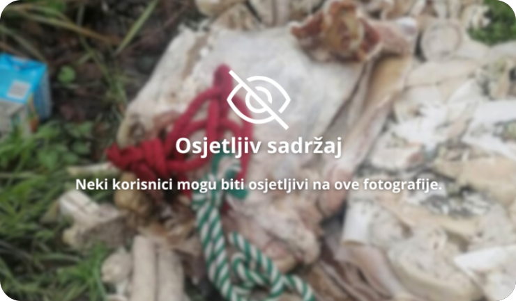 Sramotne scene uz cestu: netko iskrcao mesni otpad na cesti Kanfanar - Žminj-158295