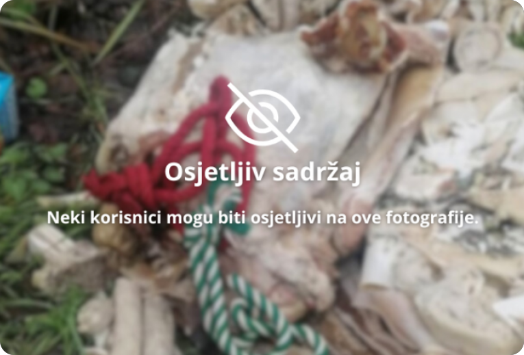 Sramotne scene uz cestu: netko iskrcao mesni otpad na cesti Kanfanar - Žminj-158295