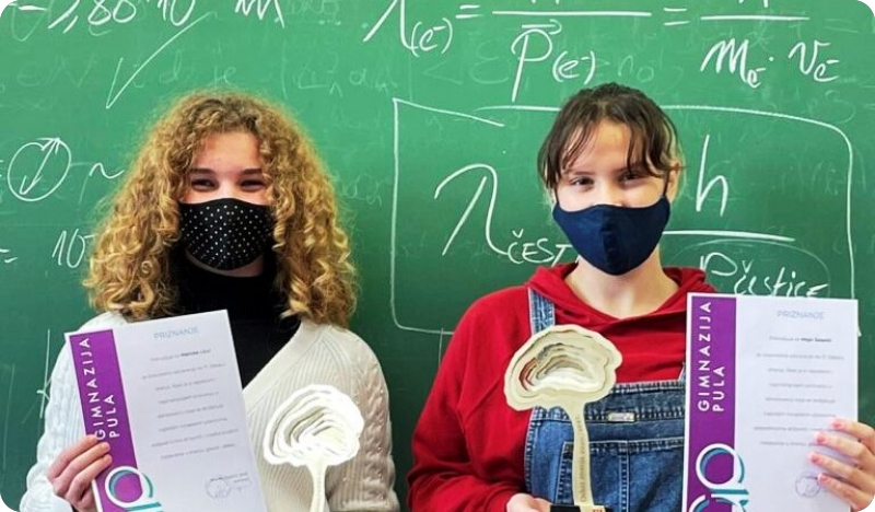 Gimnazijalke Martina Licul i Maja Šebelić dobitnice su ovogodišnjeg Oskara znanja-122266