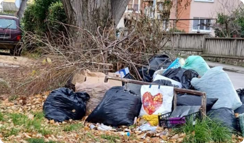 Problem s nelegalnim odlaganjem otpada u Zoranićevoj ulici-149125
