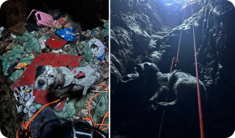 DVD “Plamen” Višnjan spasio psa iz 30 metara duboke jame kod Radoša-158486