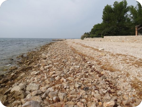 Pokušaj provale i krađa iz ugostiteljskog objekta-121377
