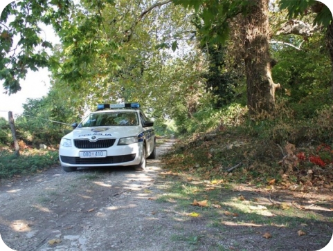 Pronađeno mrtvo tijelo u šumi kod Labina, obdukcija utvrđuje uzrok smrti-154815