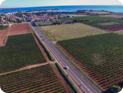 Uoči Uskrsa poljoprivrednicima isplaćeno više od 485 milijuna eura potpora-159608