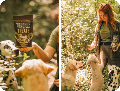 U Istri su stvorene prve na svijetu poslastice za pse od tartufa!-154208