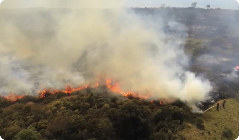 Na Dragoneri kod Barbarige izgorjelo 10 hektara niskog raslinja-126587