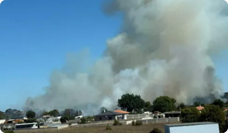 (VIDEO) Požar šume i raslinja u Jadreškima, na terenu 12 vatrogasaca-163248