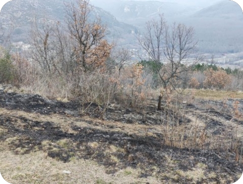 Izbila 5 požara na relaciji Oprtalj - Ipši-125419