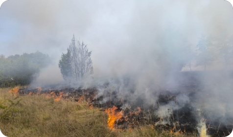 U jednom danu namjerno izazvao pet požara na području Marčane i Barbana-162663