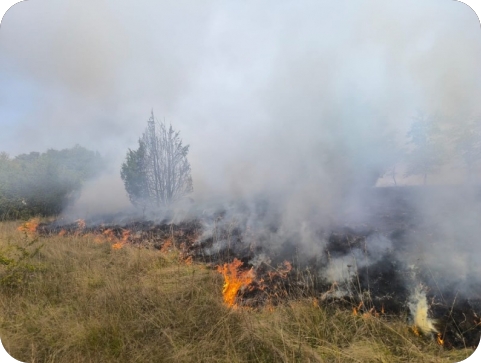 Vatrogasci DVD-a Žminj intervenirali kraj sela Žagrići-154738