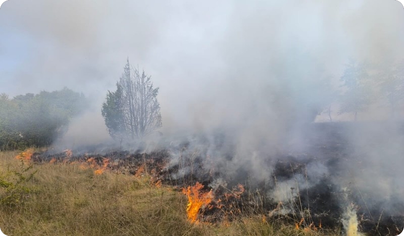 Vatrogasci DVD-a Žminj intervenirali kraj sela Žagrići-154738