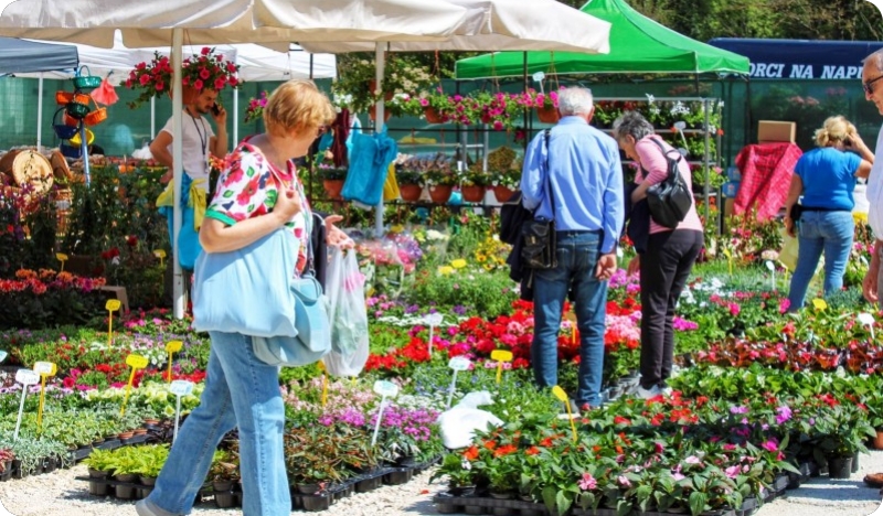 Sunčano i toplo do nedjelje, zatim nestabilnije uz kišu i buru-159926