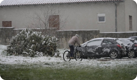 Zbog snijega Pulapromet privremeno ukinuo linije prema Verudeli i Šijani-157672