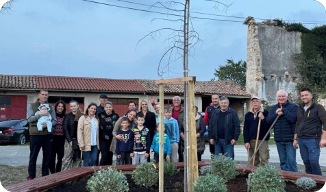 Poreč u nastavku velike akcije sadnje drveća, posađena i nova ladonja u Červaru-156588