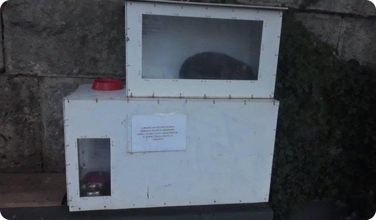 Divni ljudi iz centra Pule udružili se i napravili ulično sklonište za mačku-126039