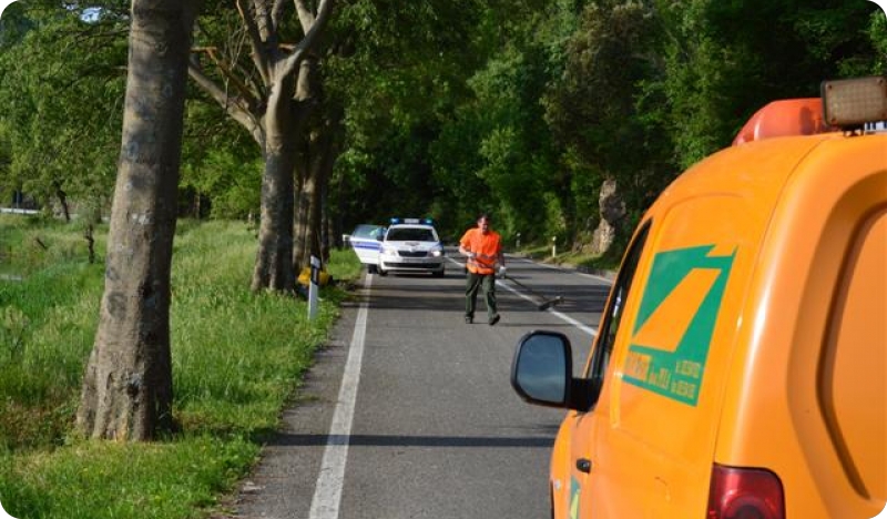 Poginula dva mlada nogometaša Raše 1938-58313